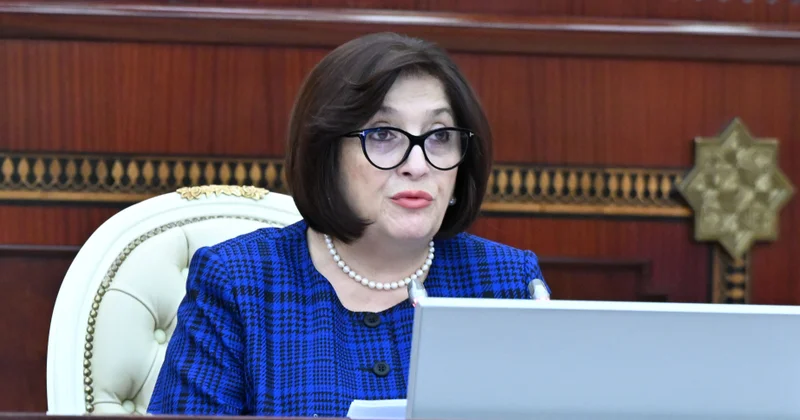 Sahibə Qafarova: Milli Məclisin növbədənkənar sessiyasında 45 qanun və qərar qəbul edilib