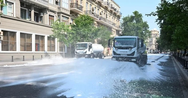 Yolların təmizlənməsində köpük istifadə edilməsi narazılıq yaratdı: Ağaclara ziyan vura bilər