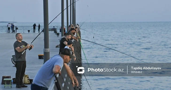 Утверждены изменения, предложенные в Земельный кодекс и Закон О рыболовстве
