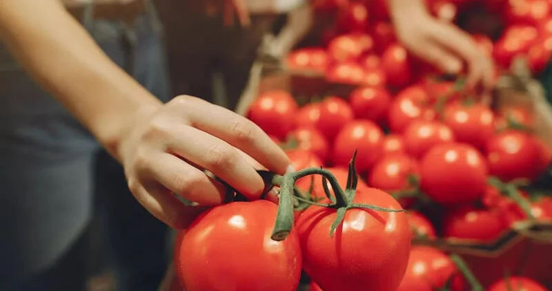 Tarlada kilosu 20 qəpik olan pomidor bazarlarda niyə 1 manata satılır? Qiyməti bahalaşdıranları siz də tanıyın… KONKRET