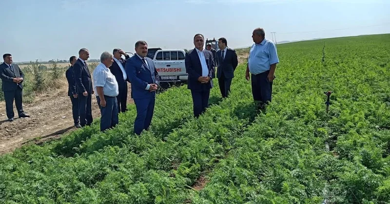 Goranboyda yaxşı yerkökü də yetişdirilir