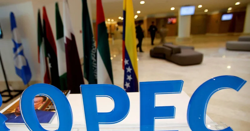 OPEC yeni dövlətlərin təşkilata üzvlüyünə açıqdır