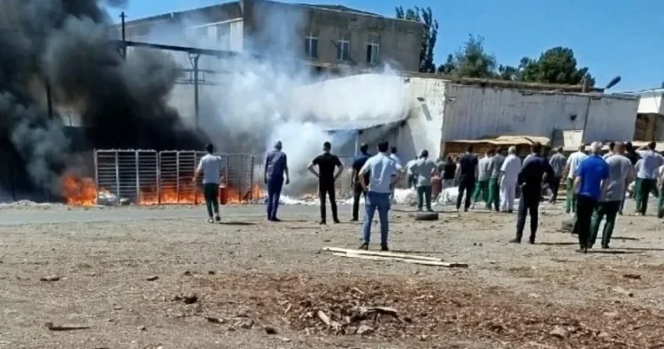 Sumqayıtda mebel fabrikinin süngər anbarı tamamilə YANDI