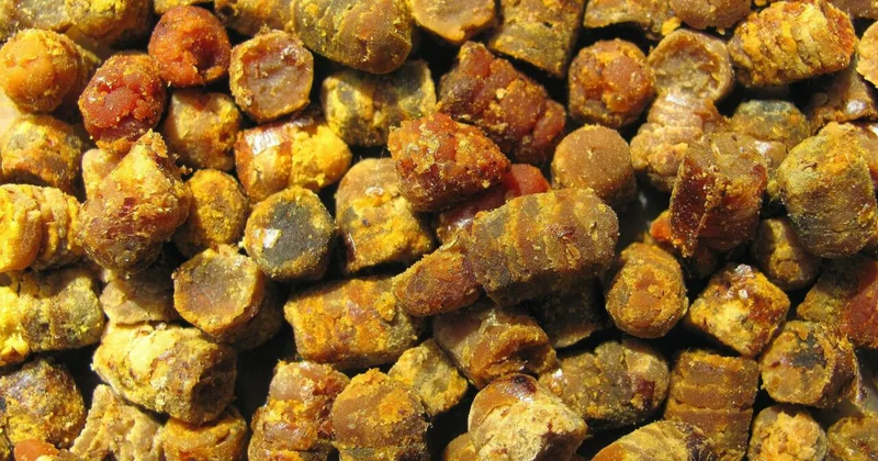 Zibil kimi atırdıq, indi kiloqramı 128 manatadır