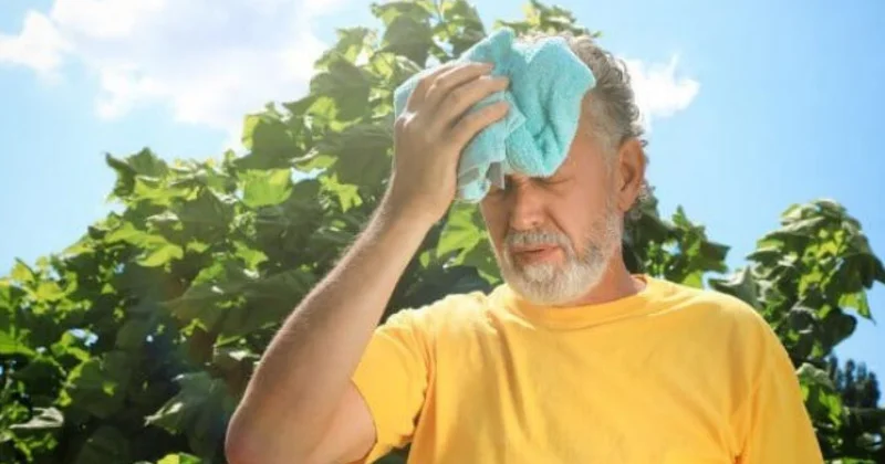 Bəzi rayonlarda temperatur 39 dərəcəyə çatıb
