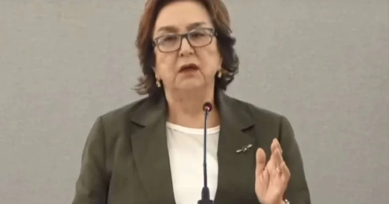 "Hər gün sağılmaq daha ağırdır..." DİM sədri nə demək İSTƏDİ?