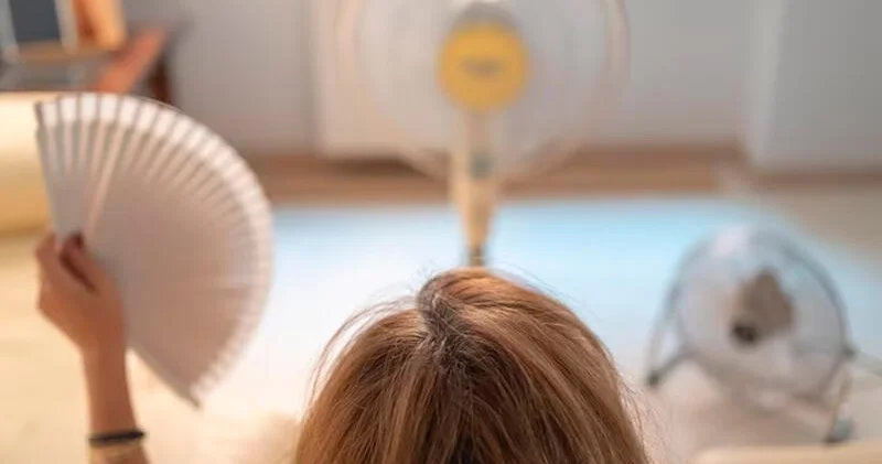 Sərinkeşin qarşısında yatmaq zərərlidir?