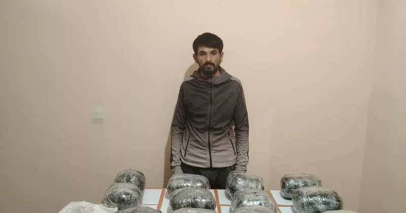 Тревога на территории погранотряда Горадиз : изъято более 13 килограммов марихуаны