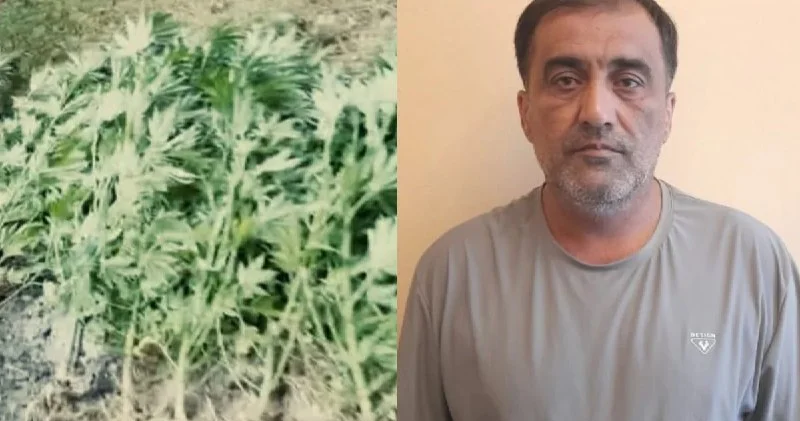 Göyçayda əməliyyat: HƏBS EDİLƏN VAR VİDEO