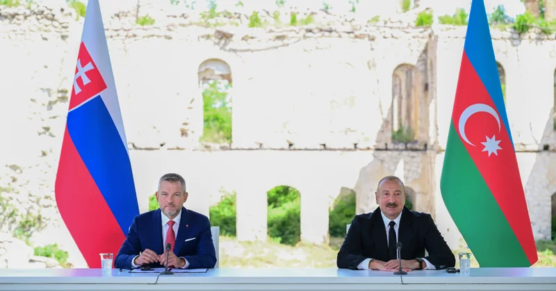 Azərbaycan Slovakiya münasibətləri regional sabitliyə töhfədir