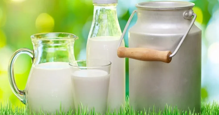 Hansı süd daha xeyirlidir?