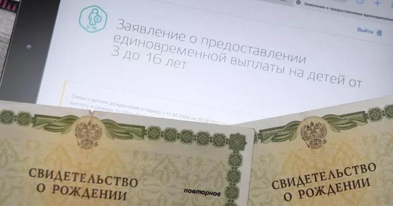 В России обсуждают возможность внедрения электронных свидетельств о рождении