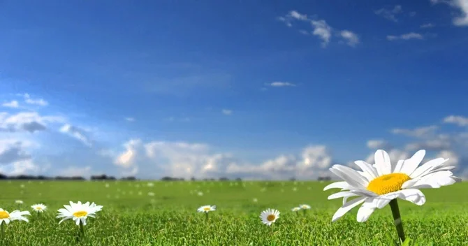 Sabah Azərbaycanda 40° isti olacaq