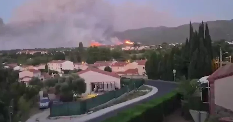 Площадь пожара под Парижем превысила 2 тыс. га ВИДЕО