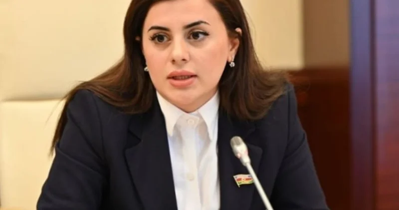 Pərvanə Vəliyeva: Azərbaycan beynəlxalq gündəliyin formalaşmasına töhfə verən fəal aktora çevrilib
