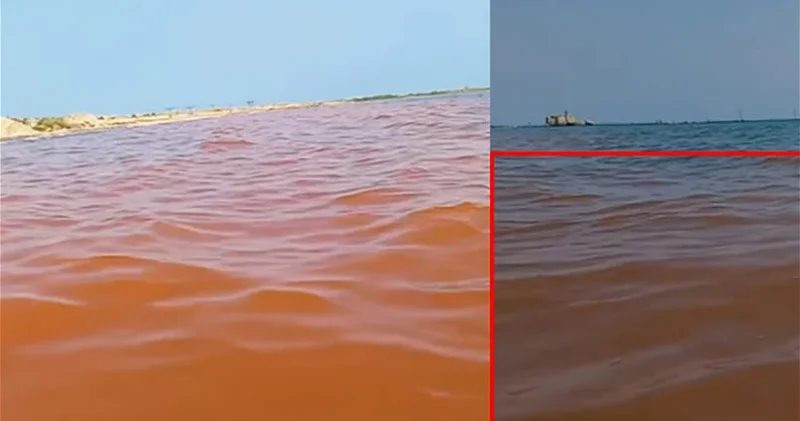В бакинском поселке море окрасилось в коричневый цвет