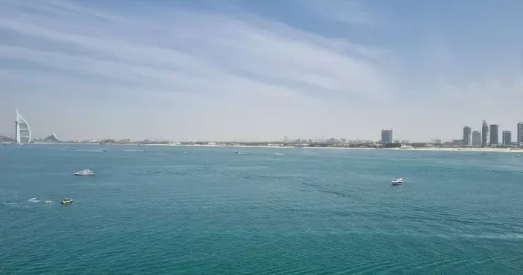 Dünyanın ən sürətli balığı saatda 110 km sürət