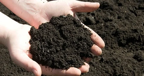 Torpaq bazarında yeni qaydalar: Qiymətləndiricilər nəyi dəyişməyi təklif edir?