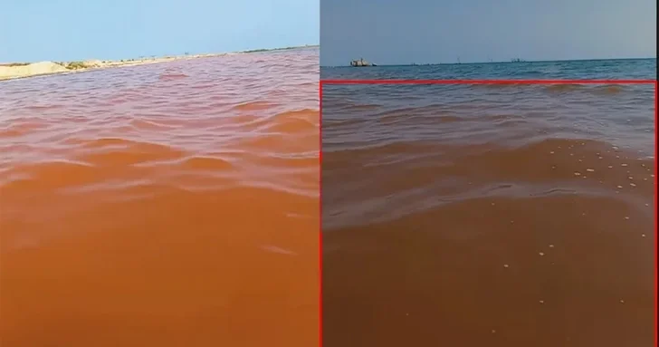Необычный цвет воды на пляже в Зиря встревожил местных жителей