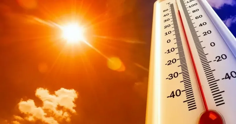 +58°С и яичница на песке: кулинарные эксперименты казахстанцев завирусились в соцсетях ВИДЕО