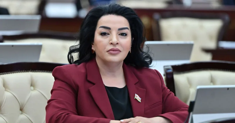 Vaşinqton səfəri dövlətimizin başçısının siyasi iradəsinin və qətiyyətinin təntənəsi oldu ŞƏRH