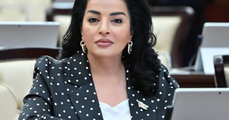 Azərbaycan və ABŞ arasında ikitərəfli münasibətlər tarixi bir mərhələyə qədəm qoyur Millət vəkili