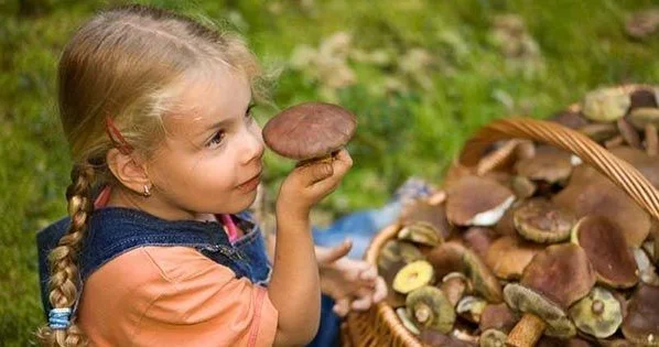 12 yaşa qədər uşaqlara niyə göbələk olmaz?