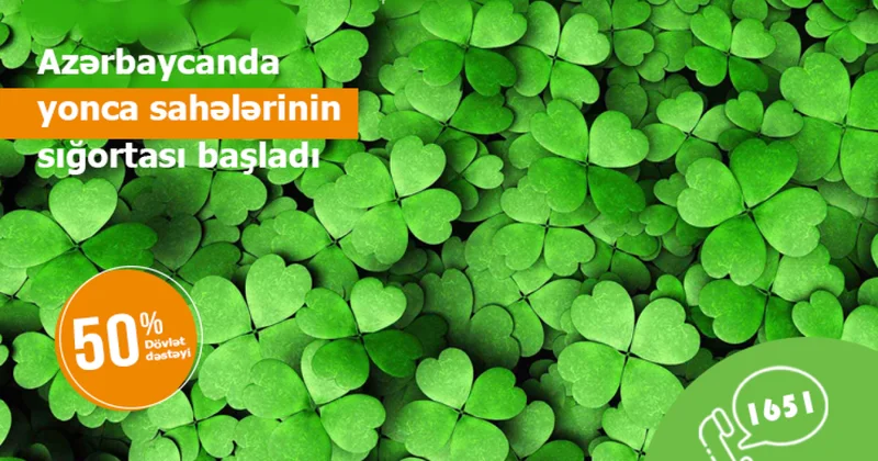 Yonca sahələrinin sığortalanması prosesinə start verilib