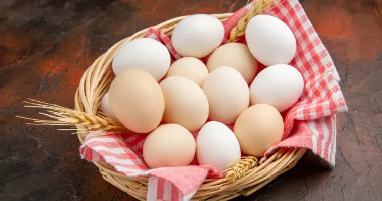Yumurtanı neçə müddət saxlamaq olar? Mütəxəssisdən açıqlama