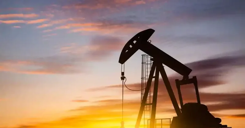 Индия ищет новых поставщиков нефти по всему миру
