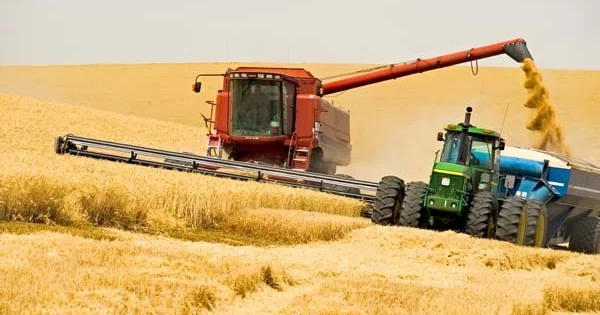 Аграрный локомотив страны
