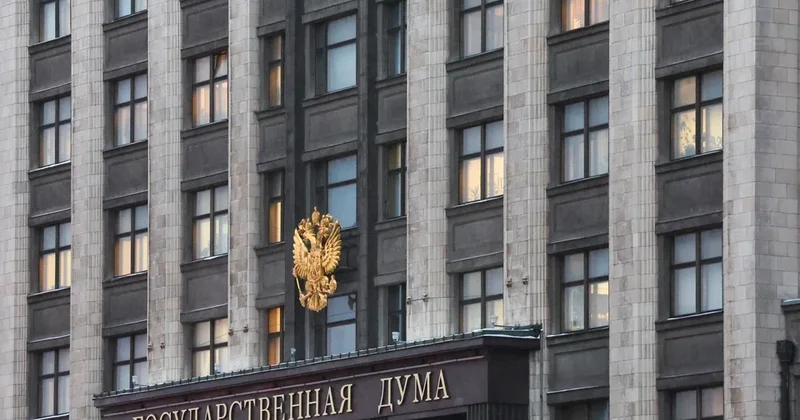 В Госдуме РФ выступили за появление отдельной статьи в УК за создание этнической ОПГ