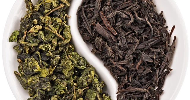 Hansı çay daha faydalıdır yaşıl yoxsa qara?
