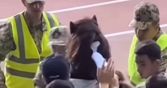 Azərbaycanda maskot mədəniyyəti formalaşmayıb İdman jurnalisti