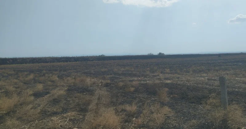 Bölgələrdə yanğına səbəb olan 5 nəfər SAXLANILDI FOTO