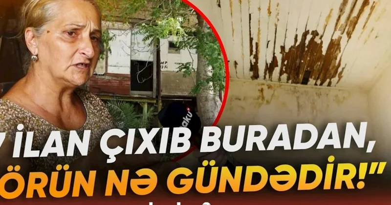 O qədər bərbad vəziyyətdədir ki, evdən yeddi ilan çıxıb Neft milyonçusunun Mərdəkandakı mülkü baxımsız halda (VİDEO)