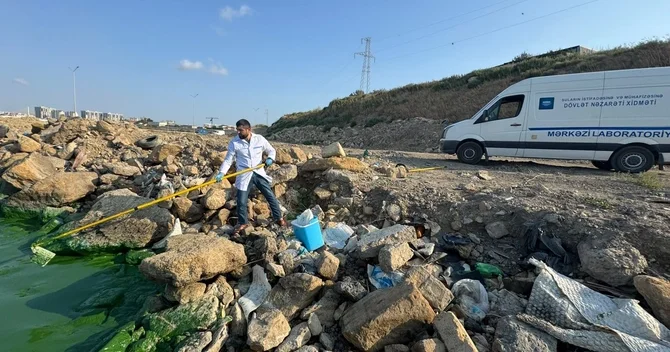 Böyükşor gölünün müəyyən hissəsinin yaşıl rəngli olduğu müəyyən edilib