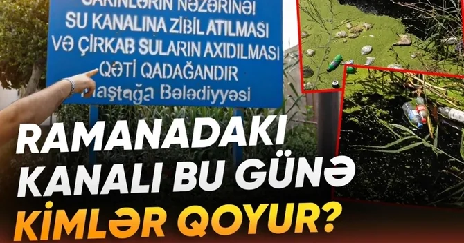 Sabunçu sakinlərinin şikayəti: Baxımsız kanal və sahibsiz küçə itləri