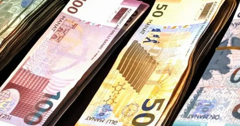 Ötən ilin büdcəsində “Ətraf mühitin mühafizəsi” sektoru üzrə vəsaitin 67,7 faizini yerli icra hakimiyyəti orqanları xərcləyib