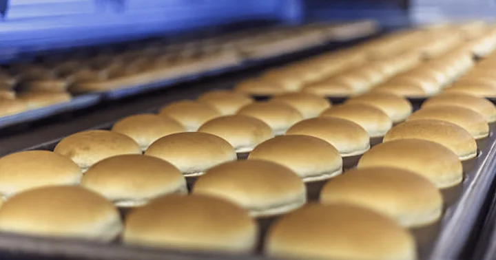Sənaye parkında yeni şirkət 27,5 milyon manat yatıracaq, burger və hot doq üçün bulka istehsal edəcək