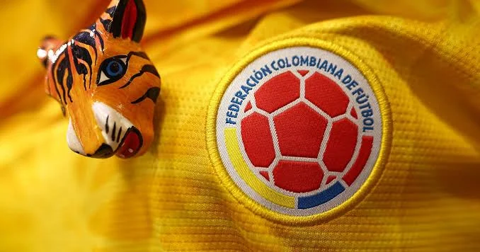 CONMEBOL və Kolumbiya Futbol Federasiyası zəlzələdən zərər çəkənlər ianə etdi