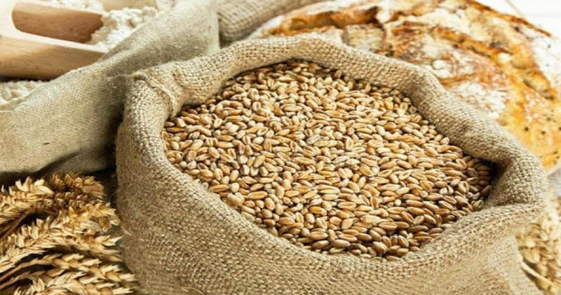Yeni rüsumlar toxumun qiymətini bahalaşdıra bilərmi? Ekspertdən açıqlama