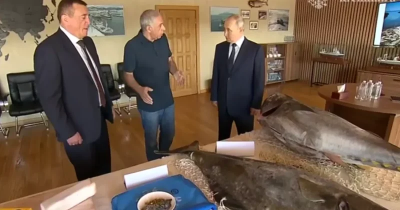 Telegraph: Сигнал Путина