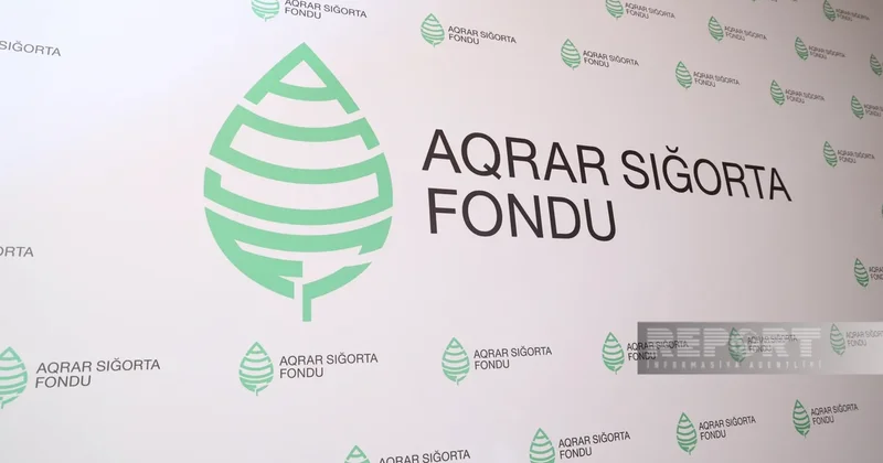 Фонд аграрного страхования обнародовал результаты деятельности за I полугодие