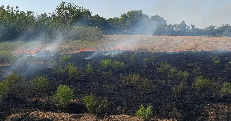 Установлены виновные в пожарах в четырех районах Азербайджана ФОТО