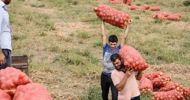 Fermerlər məhsullarını Bakıya gətirə bilmir AÇIQLAMA