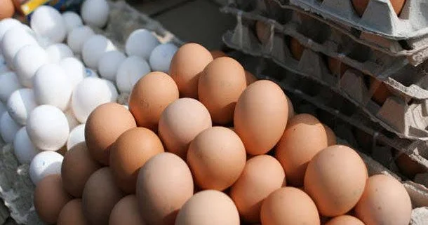 Ekspert: Yumurtanın qiymətində bahalaşma müşahidə edilir