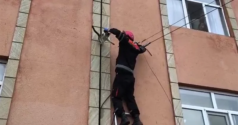 Köməksiz vəziyyətdə qalan pişiyi belə xilas etdilər Video