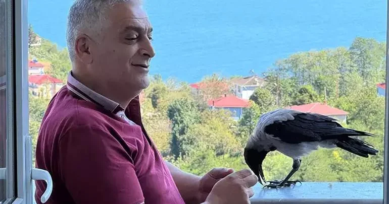 Qarğanın qeyri adi dostluğu: Şakir bu evin üçüncü oğlu oldu