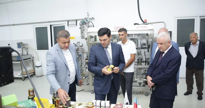 Xaçmaz rayonunda arıçılıq və bal emalı sahəsinin inkişafı diqqət mərkəzindədir (Foto)
